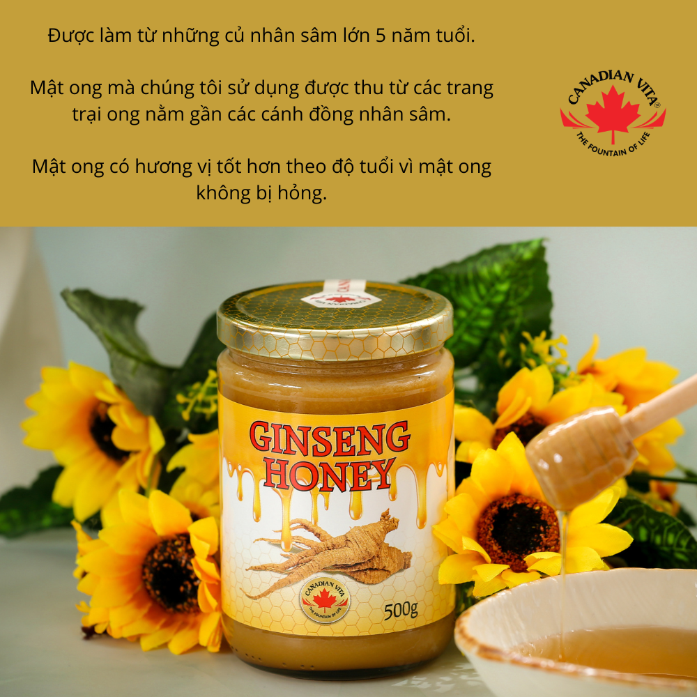 Mật Ong Nhân Sâm Canadian Vita Ginseng Honey (kèm túi)